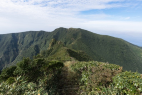 ヨウラクランの写真3｜御蔵島、長滝山です。