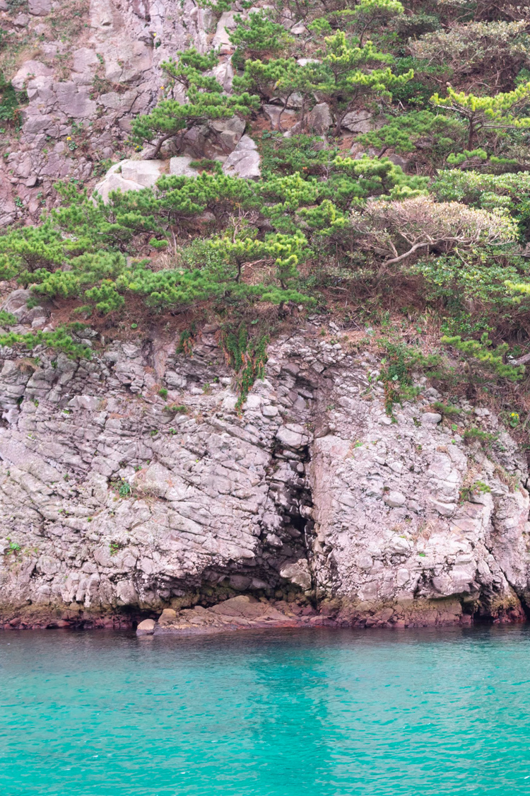 イズヒメエイの画像