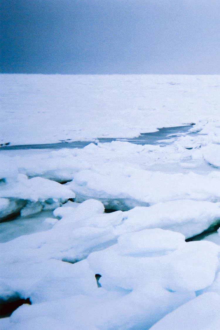 クリオネの画像