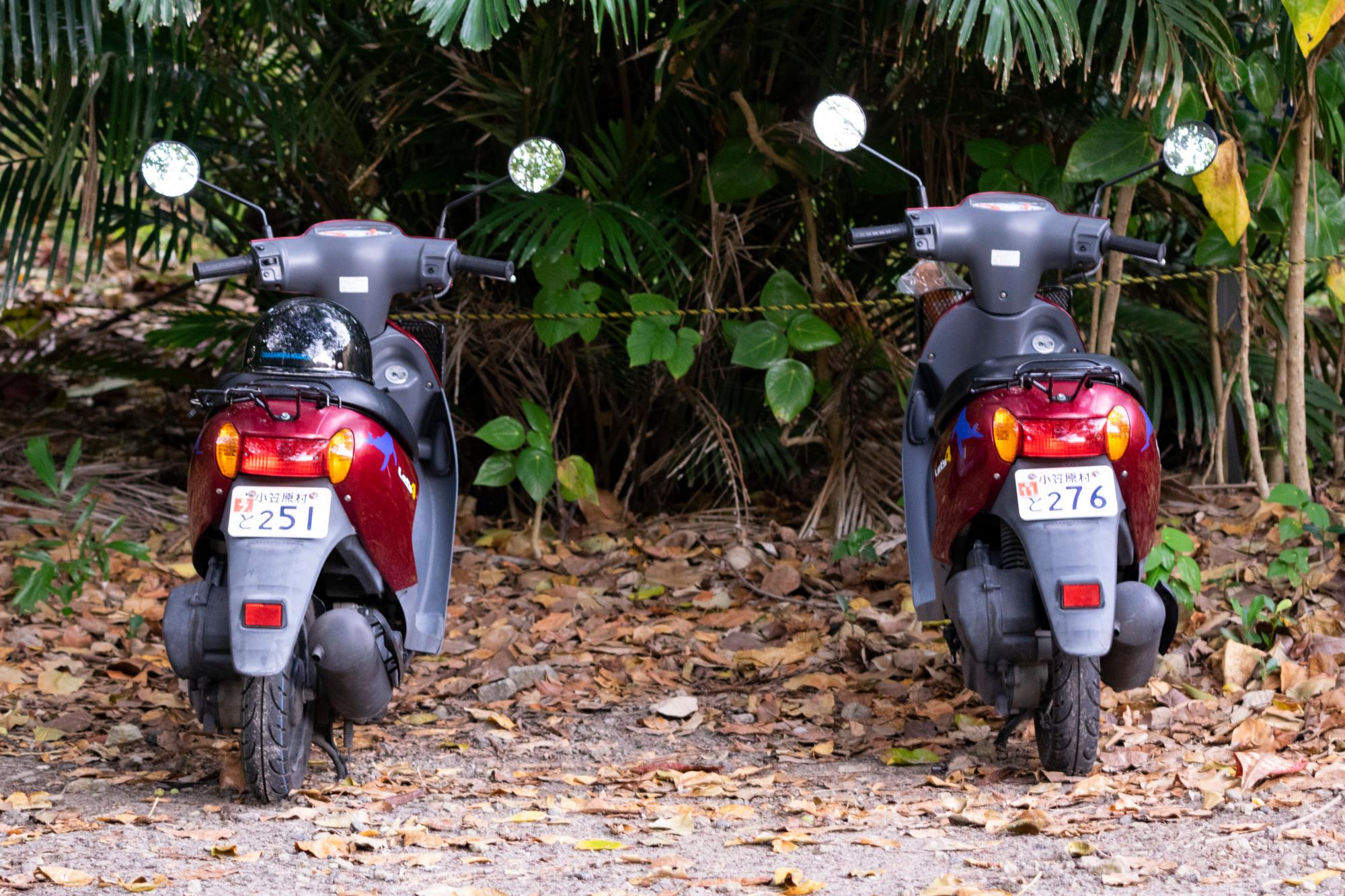 レンタルした原付