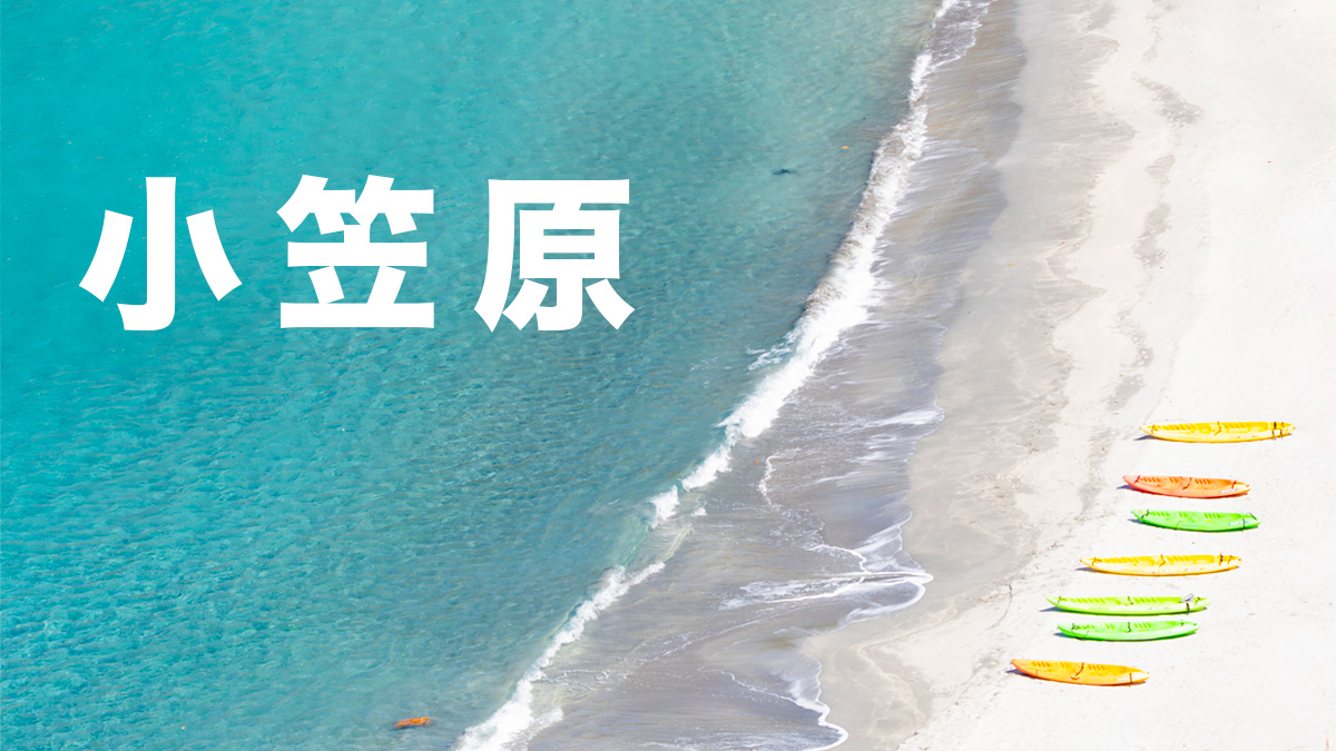 小笠原諸島の生きもの 2019のページ