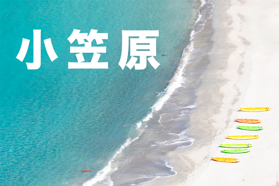 小笠原諸島の生きもの 2019｜メイン画像