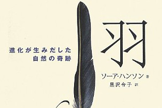 羽-進化が生み出した自然の奇跡のページ