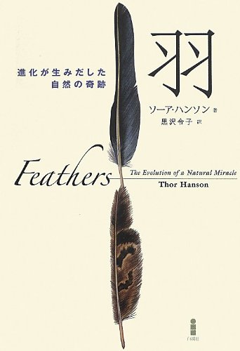 羽-進化が生み出した自然の奇跡