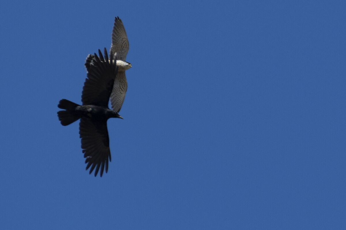 並んだところです。