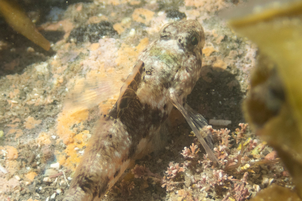 砂地にいました。