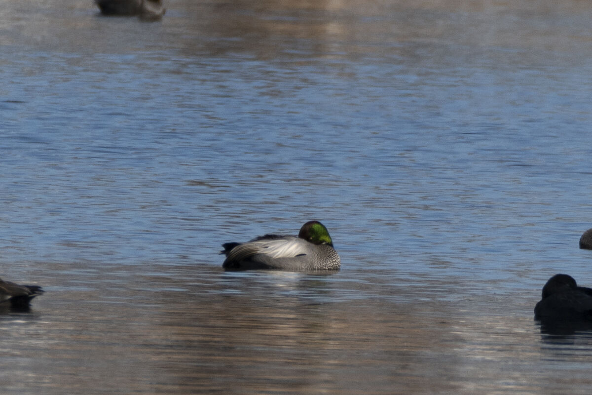 眠っていました。