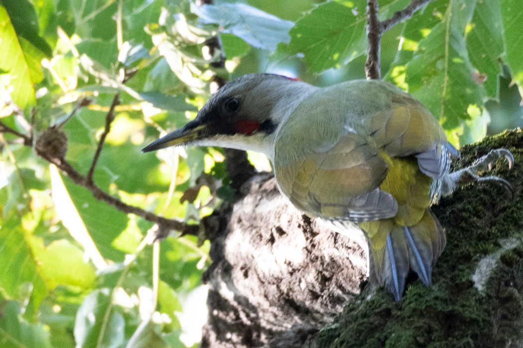 片倉城跡公園〜湯殿川