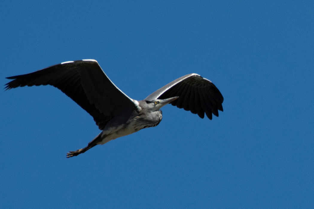 よく晴れています。