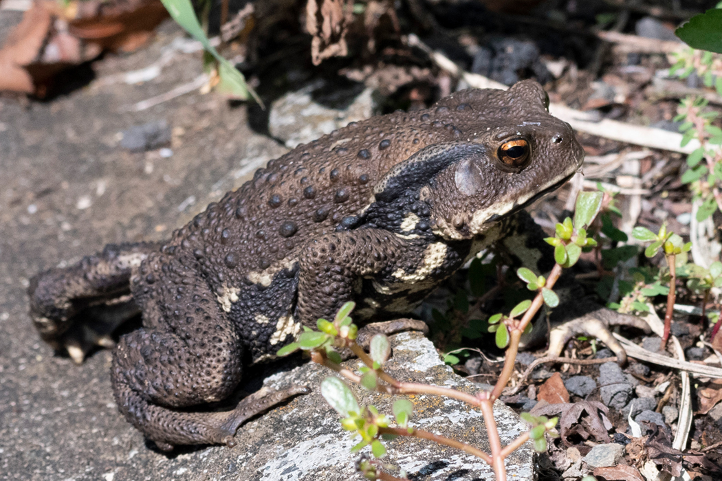ずっしりしていました。