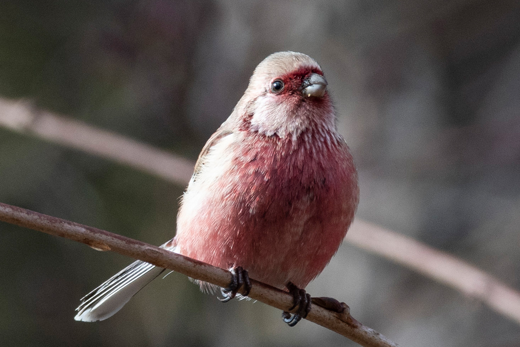 勝弦峠・諏訪湖（釜口水門） 2日目