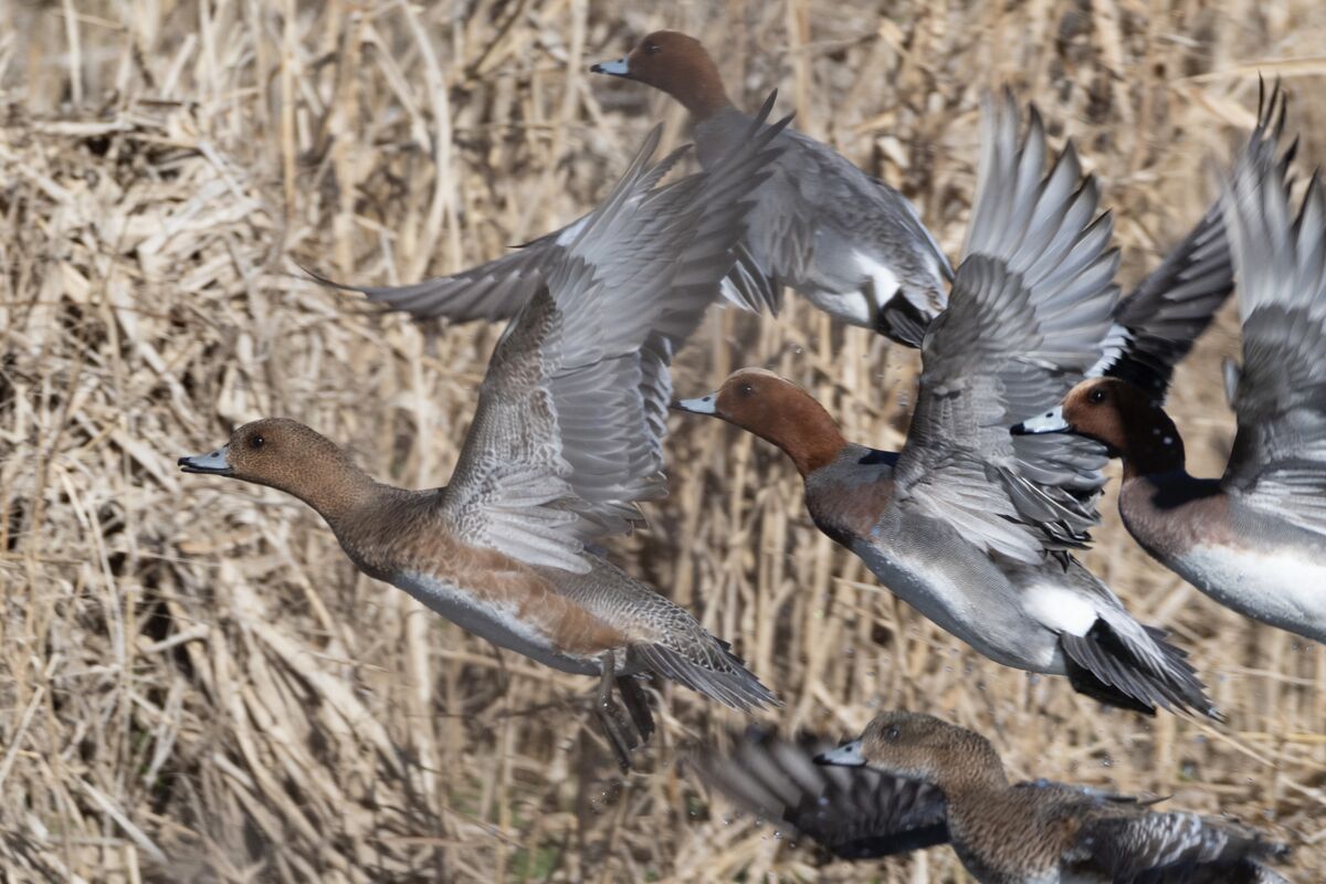 飛び立ちました。