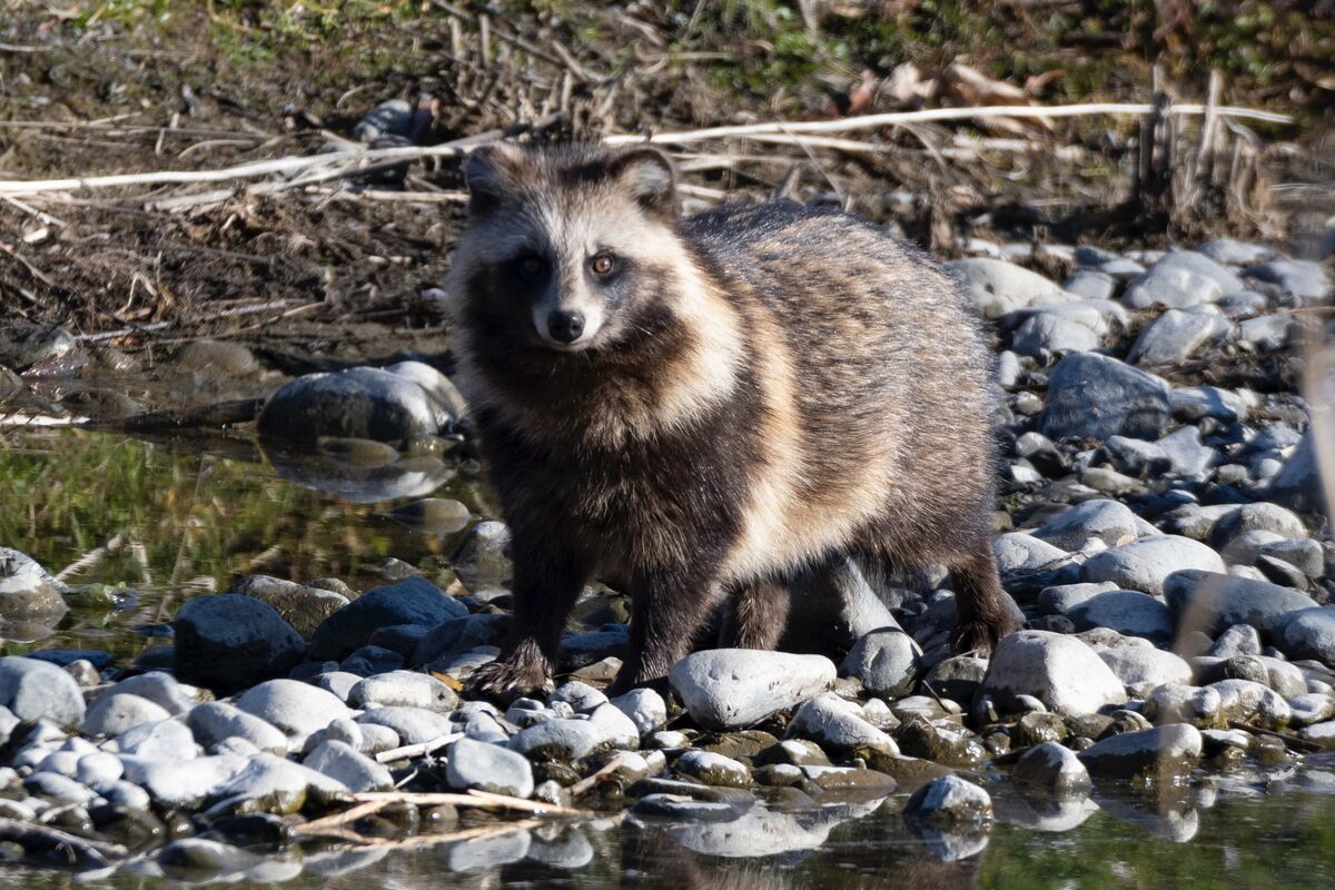 水辺に立っていました。