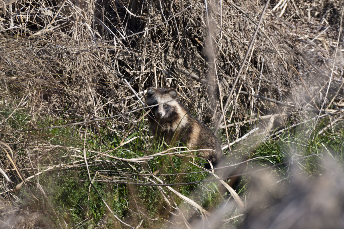 少し移動して立ち止まりました。