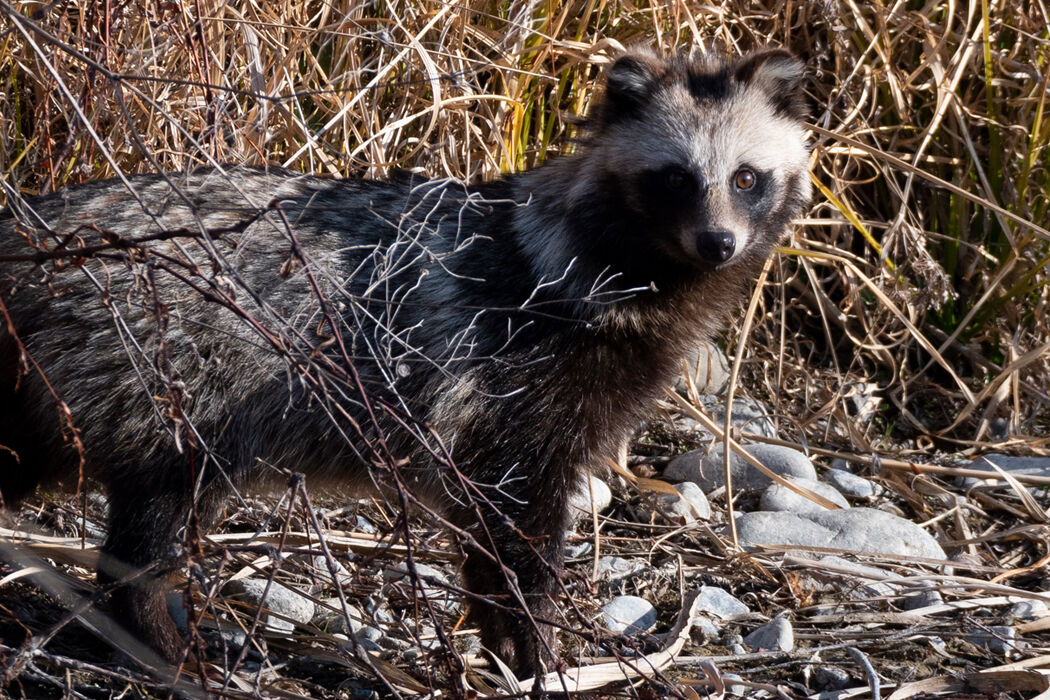 こちらに気づきました。