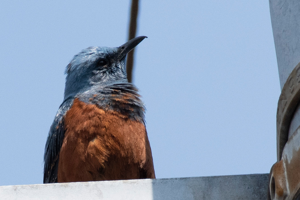 片倉城跡公園〜湯殿川