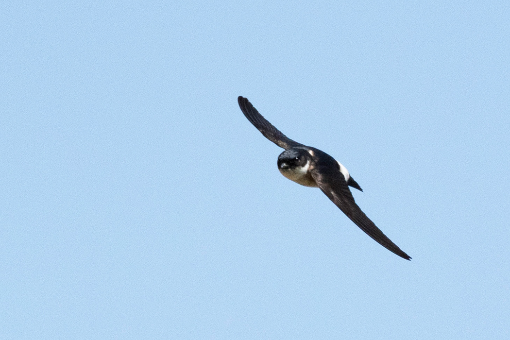 小宮公園〜湯殿川