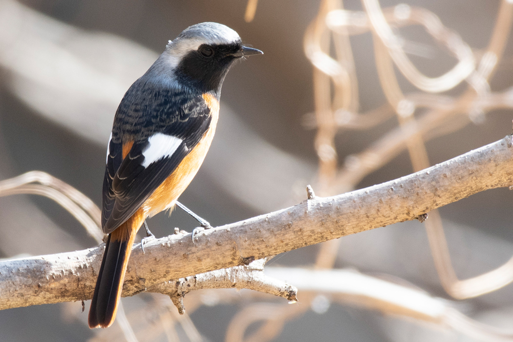 池のそばにいました。