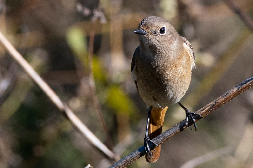 5m程度まで近づいてきました。