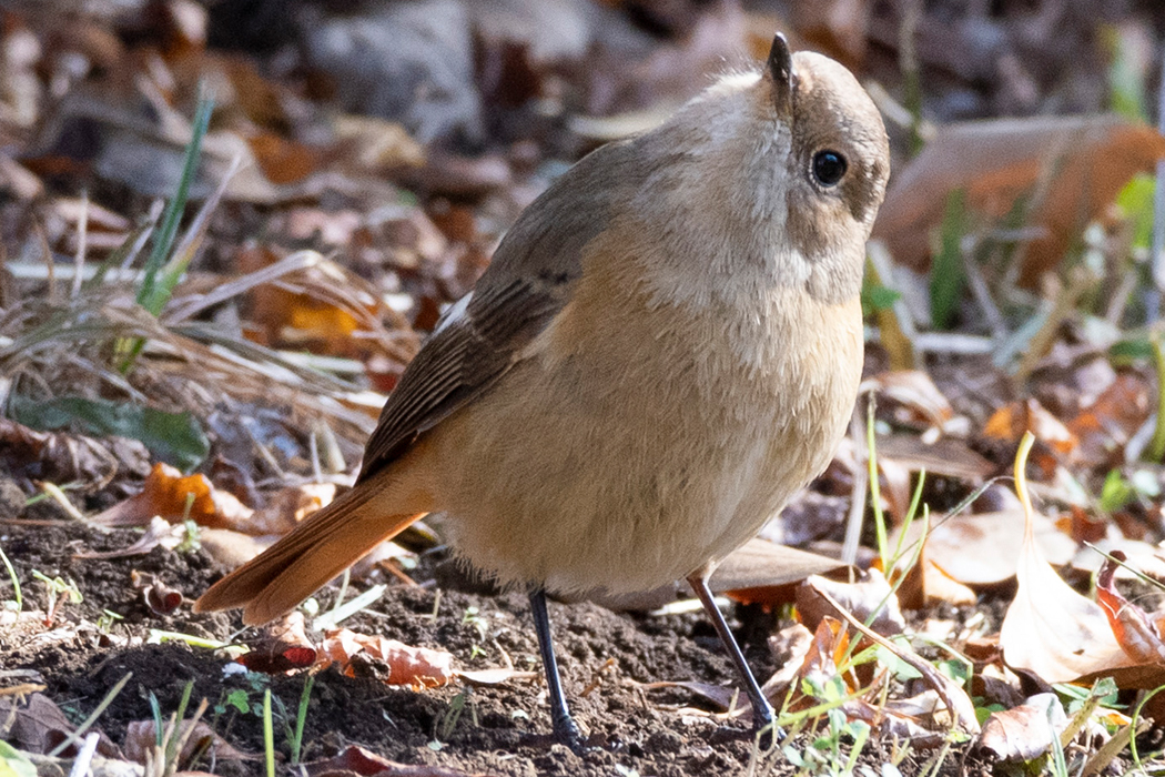 空を気にしていました。