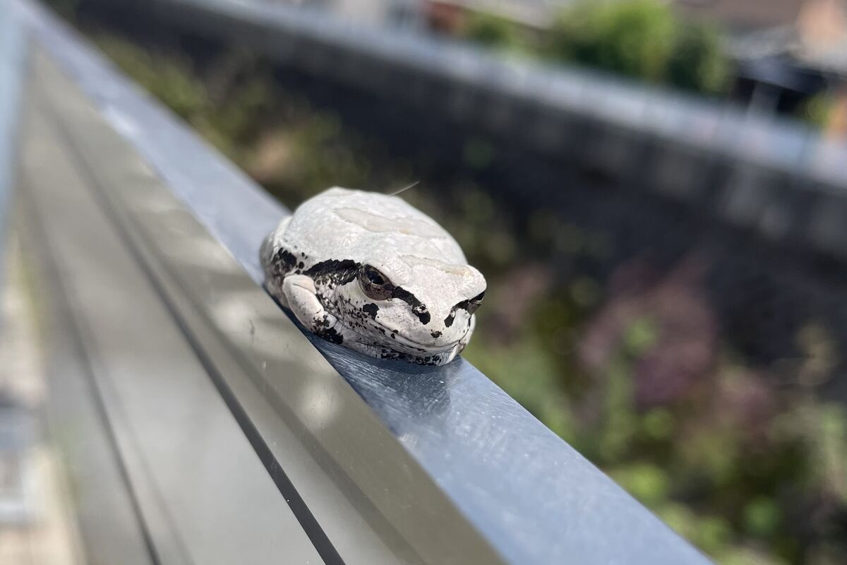 生きてはいるようでした。