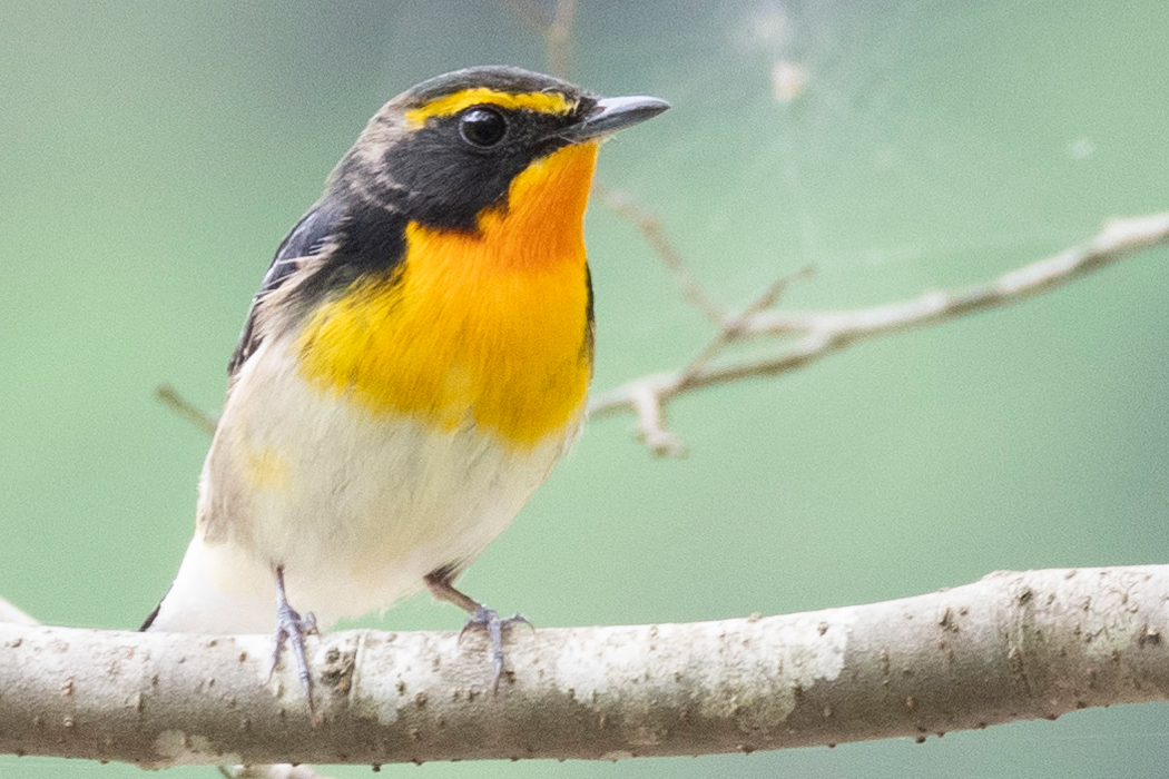 早朝の南浅川町