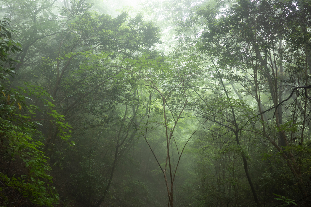 幻想的でした。