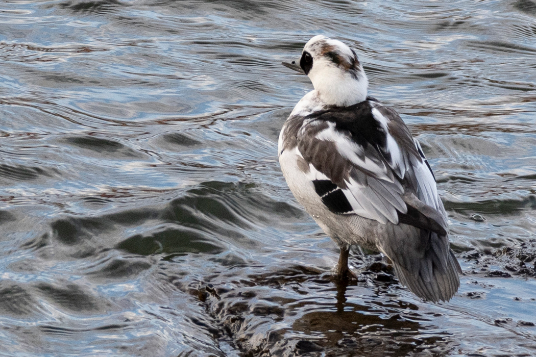 勝弦峠・諏訪湖（釜口水門） 1日目