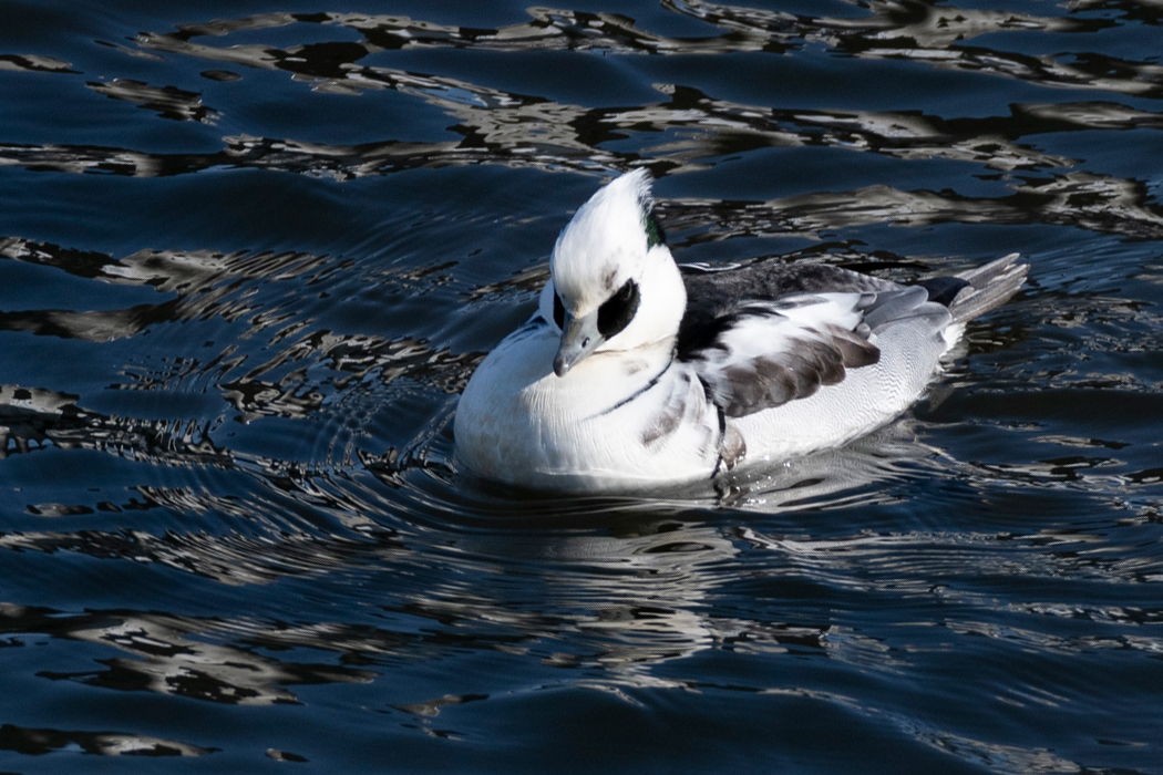 かっこいい髪型です。