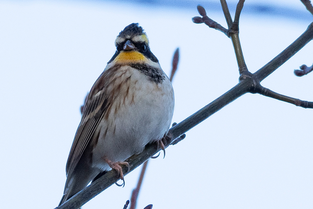勝弦峠〜塩嶺王城パークライン