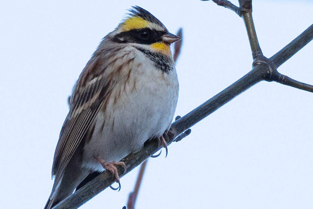 少し寒そうにしています。