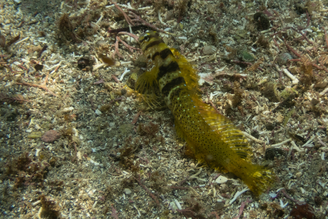 じっと動きません。