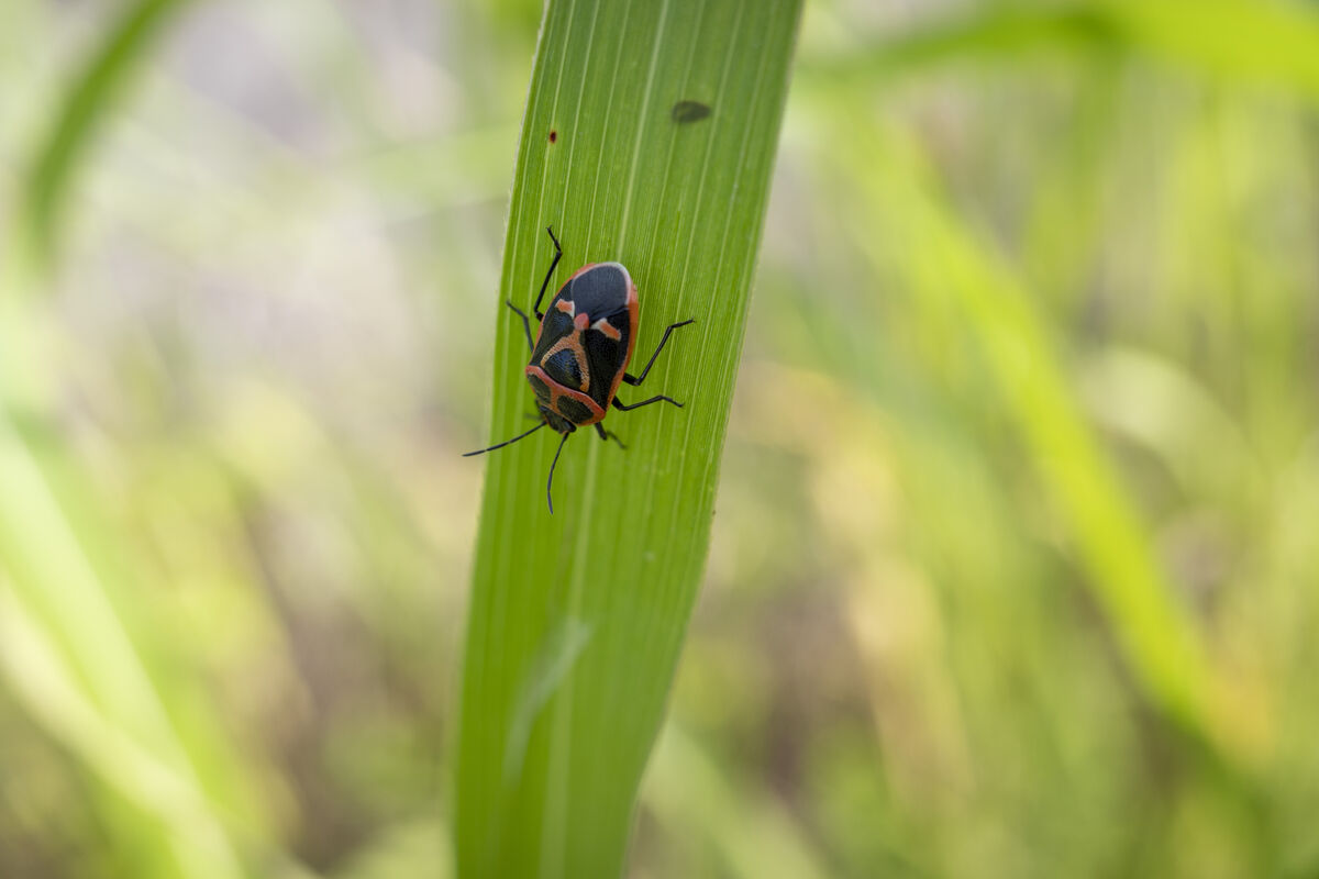 下を向いていました。