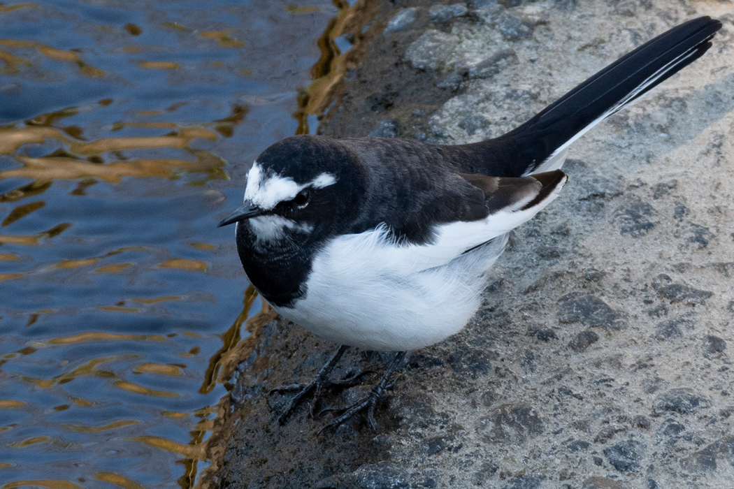 少し緊張しています。