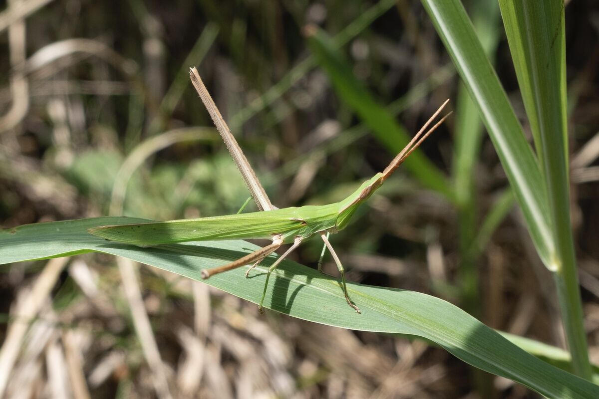 逃げずにゆっくりしていました。