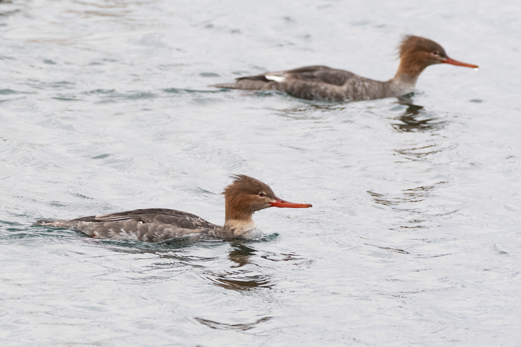 三浦半島 長井〜荒崎