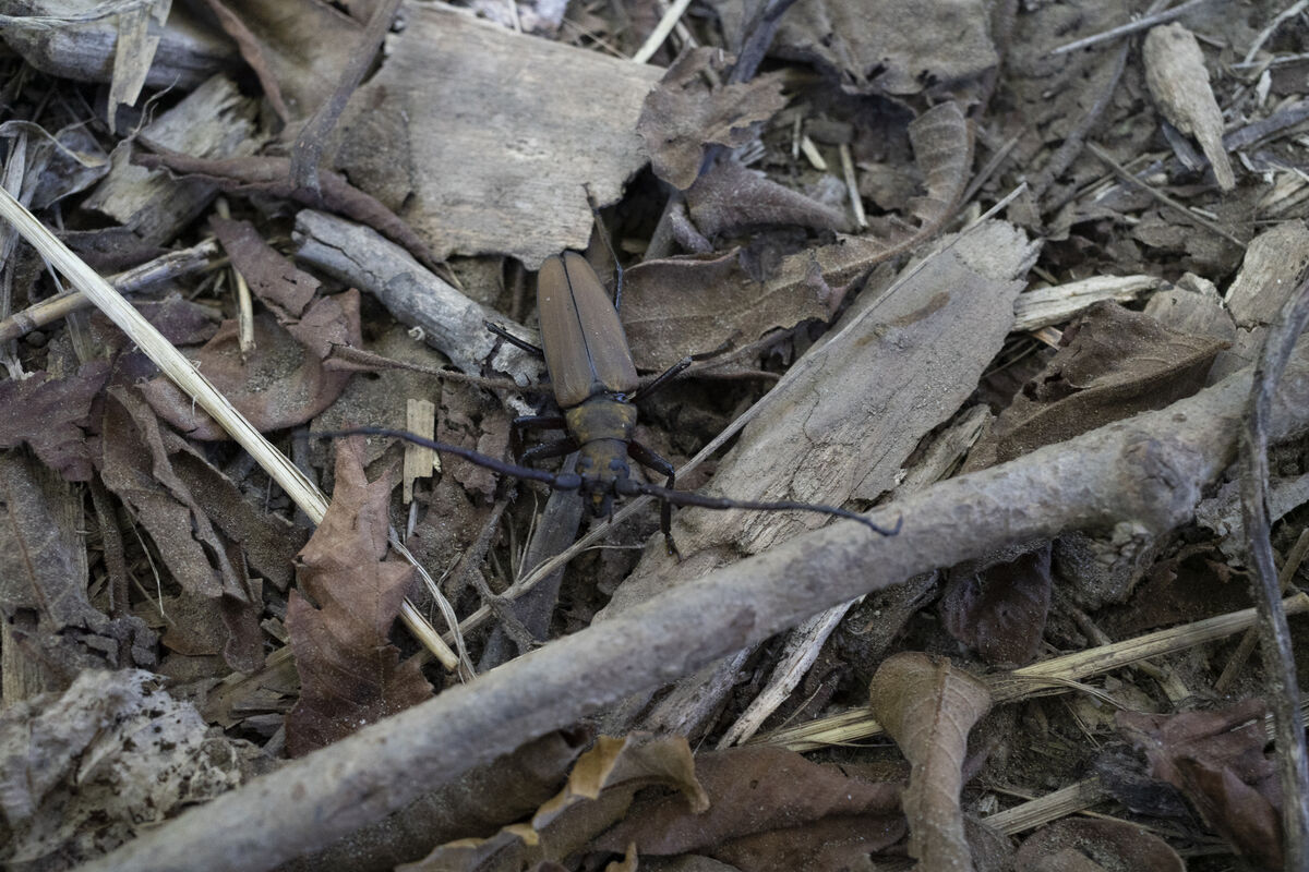 木の根元にいました