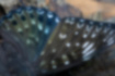 スミナガシの写真｜「翅の縁には「く」の地の白い紋が並びます。」